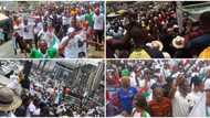 2023 presidency: Thousands of youths march for Peter Obi across Nigeria