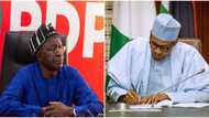 2023: ‘Withdraw card-carrying APC REC nominees’, PDP tells Buhari