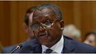 Nigeria's anti-competition agency indifferent to price fixing claim against Aliko Dangote
