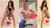 Is that Imade's bag? Nigerians react as Sophia Momodu rocks daughter's gift from Davido