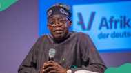 Umahi, Tunji-Ojo, Uzoka-Anite emerge as economic group lists Tibubu's top-performing ministers