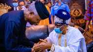 Osinbajo taught me at UNILAG, Oba of Lagos makes stunning revelations about Vice President