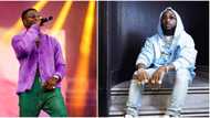 "No dey use Davido chase clout?": Reactions as Wizkid hints at a collab most people said would never happen