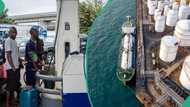 Dangote not enough: Nipco, 6 other oil markets secure fuel import licences amid supply pressure