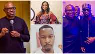 Peter Obi: 7 celebrities who have publicly declared support for LP's presidential candidate