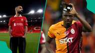 Victor Osimhen told to emulate Mohamed Salah ahead of deciding his future