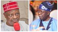 Daga Karshe, An Fallasa Babban Dalilin da Ya Sa Kwankwaso Bai Kalubalanci Nasarar Tinubu Ba a Kotu