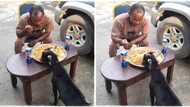 "Animals are friendly": Man & his goat share jollof rice in same tray, video goes viral on TikTok