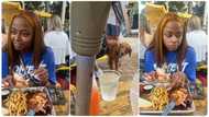 "l eat that kind of chicken": Dog watches lady eating fries in public, people react