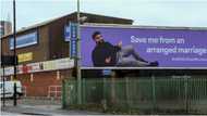 I am open to any ethnicity: Desperate 29-year-old man searching for wife advertises self on giant billboards