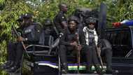 Police arrest 14 kidnap suspects, rescue abducted resident in Jigawa