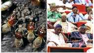 NSITF fails to account for over N17.2 billion transfer as senate grills agency