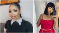 BBNaija star Nengi opens up on how she handles trolls and insults
