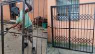 18-year-old professional wielder makes gate, photos of his work go viral