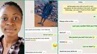 "She's a gold digger": Lady who rejected man changes mind after finding out he has iPhone 14 Pro Max