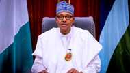 Be patient with Buhari's government - Minister begs unemployed Nigerian youths