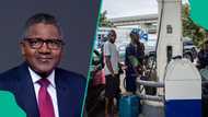 Marketers set to announce new petrol price on Monday after Dangote crashes cost