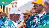 Excitement and enthusiasm: Massive turn out at PDP rally despite fuel crisis