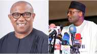 “Only 2 of your 50 witnesses testified”, INEC mocks Peter Obi, reveals how Labour Party is delaying tribunal