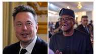 Elon Musk reclaims world's richest man title, Dangote now ranked 72nd wealthiest in the world