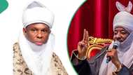 Kano Emirate Tussle: Sanusi Under Scrutiny as Danagundi makes fresh claims about his reinstatement