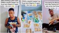 "I die here": Man flaunts in video N736k cash he saved in one month abroad, says he'll never return to Nigeria