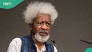 Economic hardship: “It is time to decentralise Nigeria”, Wole Soyinka gives reason
