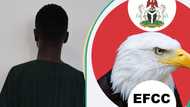 Yahoo boy acting as picker arrested in Auchi over $300,000 fraud