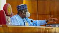 Plot to impeach Buhari thickens as Senate president Ahmed Lawan drops bombshell