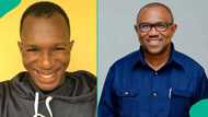 Daniel Regha tackles Peter Obi over advice to Nigerians in UK: “Same man complains about hunger”