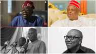 Tinubu, Atiku, Obi, Kwankwaso to watch out as Senate moves to limit next president's power in this area