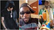 I will expose them if they disrespect me: Burna Boy brags about being richer than Wizkid and Davido