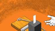 What is electoral malpractice: definition, types, and consequences