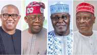 2023 elections: List of states Peter Obi, Atiku, Tinubu, Kwankwaso are currently scrambling for