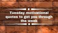 100+ Tuesday motivational quotes to get you through the week