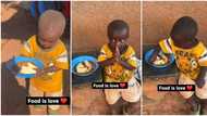 The boy who prays: Little kid melts hearts online after video shows him praying over his food, goes viral