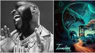 "The music no sweet at all, na rubbish": Video as man Slanders Davido’s new album Timeless