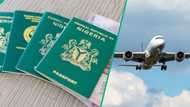 Nigerian passport rises in global ranking, 45 countries now visa-free