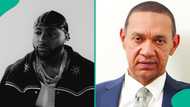 “David will win if he runs”: Ben Murray-Bruce predicts singer’s political future, fans react