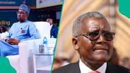 Dangote demands probe of $5 million paid by NMDPRA boss as children’s school fees abroad