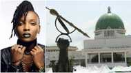 Singer DJ Switch reacts as FG approves N27 billion for National Assembly renovation