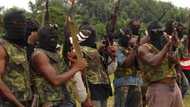 Bayelsa: Niger Delta militants threaten to resume attacks over Lyon's ouster