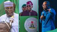 Full List: 2023 Opposition presidential candidates who supported anti-Tinubu, hunger protests