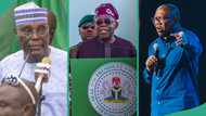 Tinubu, Atiku, Obi: Does opposition exist in Nigeria? Lawyer reacts