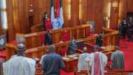 Breaking: Senate president swears-in 4 new senators (see names)