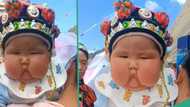 "She looks like queen": Little baby with amazing chubby face goes viral and stuns TikTok users