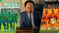 AFCON: What I will do if Nigeria's Super Eagles lose to Ivory Coast, Shehu Sani speaks