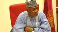 "You can do better than that": Group slams Saraki for giving his followers order to spread propaganda