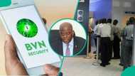 BVN enrolment surges past 70 million in Nigeria: What bank customers should know