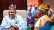 2025 budget: Actual amount Tinubu, Shettima set aside for travels, refreshments surfaced